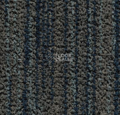 Грязезащитные покрытия Forbo Coral Brush 5767 slate blue фото 1 | FLOORDEALER